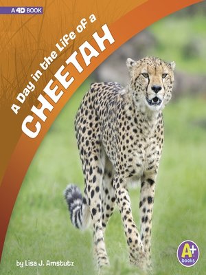 cover image of A Day in the Life of a Cheetah